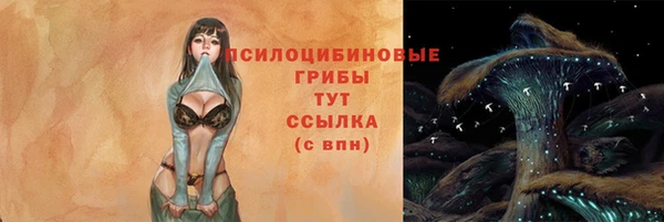 спайс Переславль-Залесский